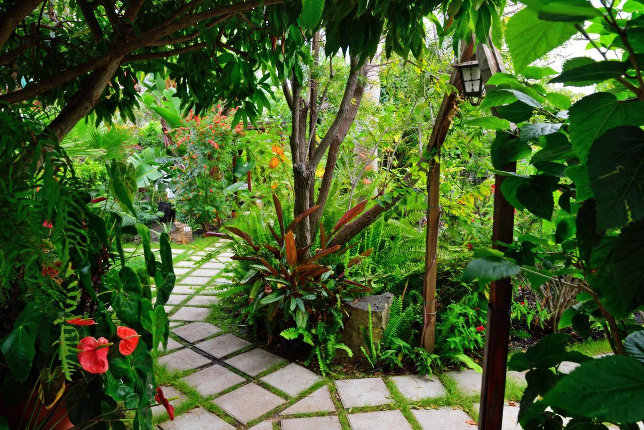 לוס יאנוס דה אריאדנה Apartamentos Adjovimar מראה חיצוני תמונה
